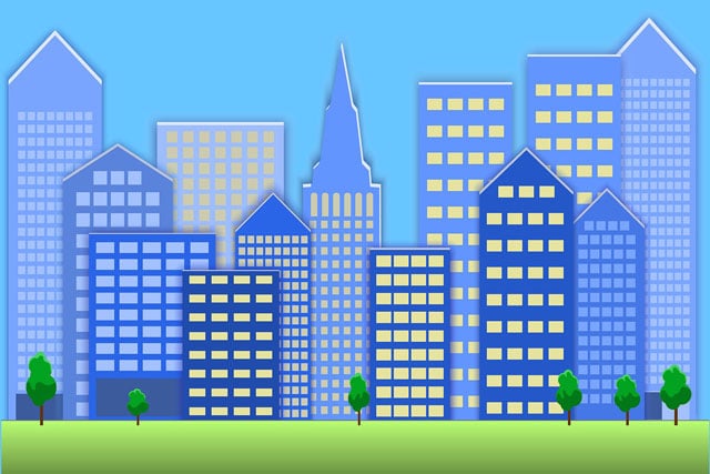 Project Controls, Document Management, Bid Management, Cash Flow Forecasting